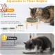 Anti Sling Bowl for Dogs Ceramic, Anti Slinging Bowl Dog Bowl Increased, Good for Health, Anti-Vomiting Feeding Bowl, Interactive Slow Feeder Dog for Cats and Small Dogs, Cream White
