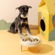 Anti Sling Bowl for Dogs Ceramic, Anti Slinging Bowl Dog Bowl Increased, Good for Health, Anti-Vomiting Feeding Bowl, Interactive Slow Feeder Dog for Cats and Small Dogs, Cream White