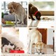 Anti Sling Dog Bowl - Anti Slinging Bowl Dogs Slow Eating | Reduce Eating Speed for Dogs & Cats, Cuttable Bowl with Anti-Sling Effect Anti Sling Dog Bowl - Anti Slinging Bowl Dogs Slow Eating | Reduce Eating Speed for Dogs & Cats, Cuttable Bowl with Anti-Sling Effect
