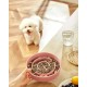 Anti-Sling Dog Bowl, Ceramic Slinging Bowl, Raised Ceramic Slow Feeder for Dogs, Slow Feeding for Medium/Large Dogs, Diameter 21 cm, 1000 ml, Dark Grey Anti-Sling Dog Bowl, Ceramic Slinging Bowl, Raised Ceramic Slow Feeder for Dogs, Slow Feeding for Medium/Large Dogs, Diameter 21 cm, 1000 ml, Dark Grey