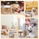 Anti-Slinging Bowl Dog Ceramic Dog Bowl Raised - Anti Sling Bowl Dog with Non-Slip Bamboo Stand - Feeding Bowl Dog for Medium and Large Dogs - Feeding Bowl Dog Slow Eating - Grey - 22.5 cm