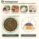 Anti-Slinging Bowl Dog Ceramic Dog Bowl Raised - Anti Sling Bowl Dog with Non-Slip Bamboo Stand - Feeding Bowl Dog for Medium and Large Dogs - Feeding Bowl Dog Slow Eating - Grey - 22.5 cm