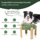 Anti-Slinging Bowl Dog Ceramic Dog Bowl Raised - Anti Sling Bowl Dog with Non-Slip Bamboo Stand - Feeding Bowl Dog for Medium and Large Dogs - Feeding Bowl Dog Slow Eating - Grey - 22.5 cm