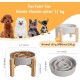 Anti-Slinging Bowl Dog Ceramic Dog Bowl Raised - Anti Sling Bowl Dog with Non-Slip Bamboo Stand - Feeding Bowl Dog for Medium and Large Dogs - Feeding Bowl Dog Slow Eating - Grey - 22.5 cm Anti-Slinging Bowl Dog Ceramic Dog Bowl Raised - Anti Sling Bowl Dog with Non-Slip Bamboo Stand - Feeding Bowl Dog for Medium and Large Dogs - Feeding Bowl Dog Slow Eating - Grey - 22.5 cm