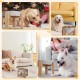 Anti-Slinging Bowl Dog Ceramic Dog Bowl Raised - Anti Sling Bowl Dog with Non-Slip Bamboo Stand - Feeding Bowl Dog for Medium and Large Dogs - Feeding Bowl Dog Slow Eating - Grey - 22.5 cm