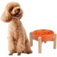 Anti-Slinging Bowl Dog Ceramic Dog Bowl Raised - Anti Sling Bowl Dog with Non-Slip Bamboo Stand - Feeding Bowl Dog for Medium and Large Dogs - Feeding Bowl Dog Slow Eating - Grey - 22.5 cm