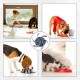 Anti-sling insert for bowls, slow feeder for dogs, made of food-safe silicone, anti-slinging bowl, dogs slow feeding bowl with suction cups, non-slip, grey anti-feeding bowl for daily feeding