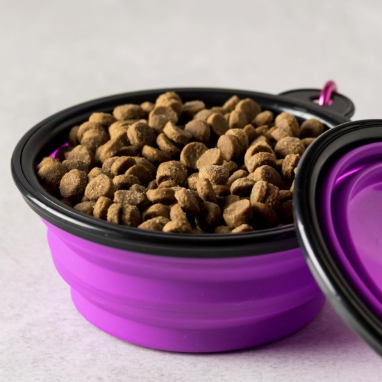 Aqpet Silicone Collapsible Travel Bowl with Carabiner for Dogs and Cats Capacity 750ml Aqpet Silicone Collapsible Travel Bowl with Carabiner for Dogs and Cats Capacity 750ml