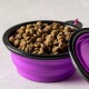 Aqpet Silicone Collapsible Travel Bowl with Carabiner for Dogs and Cats Capacity 750ml Aqpet Silicone Collapsible Travel Bowl with Carabiner for Dogs and Cats Capacity 750ml