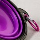 Aqpet Silicone Collapsible Travel Bowl with Carabiner for Dogs and Cats Capacity 750ml Aqpet Silicone Collapsible Travel Bowl with Carabiner for Dogs and Cats Capacity 750ml