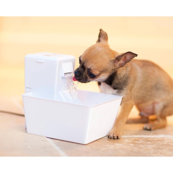 Aqua Drinking Fountain, Pet Fountain for Small Dogs and Cats, 1.8 Litres, BPA Free, Energy Saving, Quiet, Drinking Fountain for Small Pets, Includes Filter Aqua Drinking Fountain, Pet Fountain for Small Dogs and Cats, 1.8 Litres, BPA Free, Energy Saving, Quiet, Drinking Fountain for Small Pets, Includes Filter