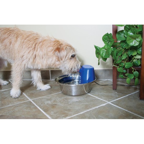 Aqua Drinking Fountain, Pet Fountain for Small Dogs and Cats, 1.8 Litres, BPA Free, Energy Saving, Quiet, Drinking Fountain for Small Pets, Includes Filter Aqua Drinking Fountain, Pet Fountain for Small Dogs and Cats, 1.8 Litres, BPA Free, Energy Saving, Quiet, Drinking Fountain for Small Pets, Includes Filter