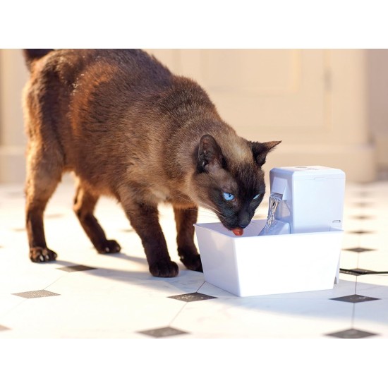 Aqua Drinking Fountain, Pet Fountain for Small Dogs and Cats, 1.8 Litres, BPA Free, Energy Saving, Quiet, Drinking Fountain for Small Pets, Includes Filter Aqua Drinking Fountain, Pet Fountain for Small Dogs and Cats, 1.8 Litres, BPA Free, Energy Saving, Quiet, Drinking Fountain for Small Pets, Includes Filter