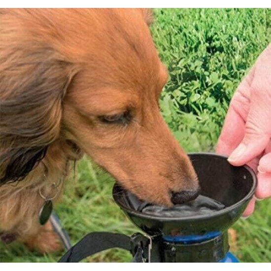 Aqua Pet Travel Bottle Aqua Pet Travel Bottle