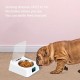 Automatic Cat Feeder, 350ml, Intelligent Automatic Feeder with Stainless Steel Bowl, 0.5-1m Infrared Detection Distance, Pet Feeder for Dogs and Cats Automatic Cat Feeder, 350ml, Intelligent Automatic Feeder with Stainless Steel Bowl, 0.5-1m Infrared Detection Distance, Pet Feeder for Dogs and Cats