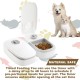 Automatic Cat Feeder for 2 Meals: Two Meal Automatic Feeder with Timer & Non-Slip Mat for Dogs and Cats, Cat Feeder for 2 Meals, Automatic Feeder Cat, Light Grey