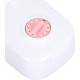 Automatic Cat Feeder with Ice Bag, Pet Feeder for Small Dogs, Dry or Wet Feeder for Cats, Automatic Timed Feeder, Automatic Pet Feeder