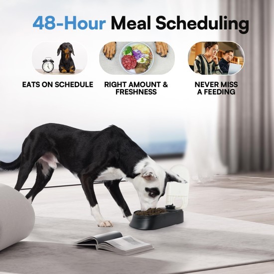 Automatic Pet Feeder 300ml Automatic Feeder for 48-Hour Planning for 2 Meals Timed Feeding Bowl for Dogs and Cats Automatic Pet Feeder 300ml Automatic Feeder for 48-Hour Planning for 2 Meals Timed Feeding Bowl for Dogs and Cats