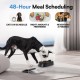Automatic Pet Feeder 300ml Automatic Feeder for 48-Hour Planning for 2 Meals Timed Feeding Bowl for Dogs and Cats Automatic Pet Feeder 300ml Automatic Feeder for 48-Hour Planning for 2 Meals Timed Feeding Bowl for Dogs and Cats