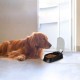 Automatic Pet Feeder 300ml Automatic Feeder for 48-Hour Planning for 2 Meals Timed Feeding Bowl for Dogs and Cats Automatic Pet Feeder 300ml Automatic Feeder for 48-Hour Planning for 2 Meals Timed Feeding Bowl for Dogs and Cats