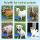 Automatic Water Bowl for Dogs with Adjustable 1/2 Inch Float Valve, Plastic Drinking Fountain for Sheep, Goats, Calves, Dogs, Blue Automatic Water Bowl for Dogs with Adjustable 1/2 Inch Float Valve, Plastic Drinking Fountain for Sheep, Goats, Calves, Dogs, Blue