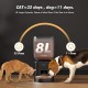 Automatischer Futterspender für Hunde, 8 l/34 Tassen, große Kapazität, automatischer Katzenfutterspender mit Display, LCD-Bildschirm, großes Futtertablett, batteriebetrieben, zeitgesteuerter Automatischer Futterspender für Hunde, 8 l/34 Tassen, große Kapazität, automatischer Katzenfutterspender mit Display, LCD-Bildschirm, großes Futtertablett, batteriebetrieben, zeitgesteuerter