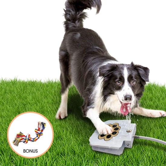 BACOENG Dog Pet Drinking Fountain, Easy Activate Dog Water Dispenser Toy with Teething Rope, Upgraded Premium Valve Set (Brass Instead of Plastic) BACOENG Dog Pet Drinking Fountain, Easy Activate Dog Water Dispenser Toy with Teething Rope, Upgraded Premium Valve Set (Brass Instead of Plastic)