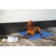 Beeztees Splashy Wasserfontaine Dog Toy, 25.5 x 18 x 8 cm Beeztees Splashy Wasserfontaine Dog Toy, 25.5 x 18 x 8 cm