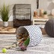 Bone Dry DII Small Rectangle Pet Toy and Accessory Storage Bin, 14x8x9, Collapsible Organizer Storage Basket for Home Décor, Pet Toy, Blankets, Leashes and Food-Gray Paw Print Bone Dry DII Small Rectangle Pet Toy and Accessory Storage Bin, 14x8x9, Collapsible Organizer Storage Basket for Home Décor, Pet Toy, Blankets, Leashes and Food-Gray Paw Print