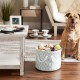 Bone Dry DII Small Rectangle Pet Toy and Accessory Storage Bin, 14x8x9, Collapsible Organizer Storage Basket for Home Décor, Pet Toy, Blankets, Leashes and Food-Gray Paw Print Bone Dry DII Small Rectangle Pet Toy and Accessory Storage Bin, 14x8x9, Collapsible Organizer Storage Basket for Home Décor, Pet Toy, Blankets, Leashes and Food-Gray Paw Print