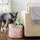 Bone Dry DII Small Rectangle Pet Toy and Accessory Storage Bin, 14x8x9, Collapsible Organizer Storage Basket for Home Décor, Pet Toy, Blankets, Leashes and Food-Gray Paw Print Bone Dry DII Small Rectangle Pet Toy and Accessory Storage Bin, 14x8x9, Collapsible Organizer Storage Basket for Home Décor, Pet Toy, Blankets, Leashes and Food-Gray Paw Print