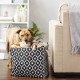 Bone Dry DII Small Rectangle Pet Toy and Accessory Storage Bin, 14x8x9, Collapsible Organizer Storage Basket for Home Décor, Pet Toy, Blankets, Leashes and Food-Gray Paw Print Bone Dry DII Small Rectangle Pet Toy and Accessory Storage Bin, 14x8x9, Collapsible Organizer Storage Basket for Home Décor, Pet Toy, Blankets, Leashes and Food-Gray Paw Print