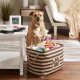 Bone Dry DII Small Rectangle Pet Toy and Accessory Storage Bin, 14x8x9, Collapsible Organizer Storage Basket for Home Décor, Pet Toy, Blankets, Leashes and Food-Gray Paw Print Bone Dry DII Small Rectangle Pet Toy and Accessory Storage Bin, 14x8x9, Collapsible Organizer Storage Basket for Home Décor, Pet Toy, Blankets, Leashes and Food-Gray Paw Print