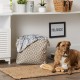 Bone Dry DII Small Rectangle Pet Toy and Accessory Storage Bin, 14x8x9, Collapsible Organizer Storage Basket for Home Décor, Pet Toy, Blankets, Leashes and Food-Gray Paw Print Bone Dry DII Small Rectangle Pet Toy and Accessory Storage Bin, 14x8x9, Collapsible Organizer Storage Basket for Home Décor, Pet Toy, Blankets, Leashes and Food-Gray Paw Print