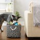 Bone Dry DII Small Rectangle Pet Toy and Accessory Storage Bin, 14x8x9, Collapsible Organizer Storage Basket for Home Décor, Pet Toy, Blankets, Leashes and Food-Gray Paw Print Bone Dry DII Small Rectangle Pet Toy and Accessory Storage Bin, 14x8x9, Collapsible Organizer Storage Basket for Home Décor, Pet Toy, Blankets, Leashes and Food-Gray Paw Print