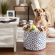 Bone Dry DII Small Rectangle Pet Toy and Accessory Storage Bin, 14x8x9, Collapsible Organizer Storage Basket for Home Décor, Pet Toy, Blankets, Leashes and Food-Gray Paw Print Bone Dry DII Small Rectangle Pet Toy and Accessory Storage Bin, 14x8x9, Collapsible Organizer Storage Basket for Home Décor, Pet Toy, Blankets, Leashes and Food-Gray Paw Print
