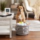 Bone Dry DII Small Rectangle Pet Toy and Accessory Storage Bin, 14x8x9, Collapsible Organizer Storage Basket for Home Décor, Pet Toy, Blankets, Leashes and Food-Gray Paw Print Bone Dry DII Small Rectangle Pet Toy and Accessory Storage Bin, 14x8x9, Collapsible Organizer Storage Basket for Home Décor, Pet Toy, Blankets, Leashes and Food-Gray Paw Print
