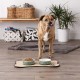 Bone Dry Paw & Patch Ceramic Pet Collection Large Set, 7.5" x 2.4", Hunter Green, Pack of 2 Bone Dry Paw & Patch Ceramic Pet Collection Large Set, 7.5" x 2.4", Hunter Green, Pack of 2