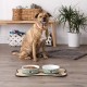Bone Dry Paw & Patch Ceramic Pet Collection Large Set, 7.5" x 2.4", Hunter Green, Pack of 2 Bone Dry Paw & Patch Ceramic Pet Collection Large Set, 7.5" x 2.4", Hunter Green, Pack of 2