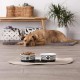 Bone Dry Paw & Patch Ceramic Pet Collection Large Set, 7.5" x 2.4", Hunter Green, Pack of 2 Bone Dry Paw & Patch Ceramic Pet Collection Large Set, 7.5" x 2.4", Hunter Green, Pack of 2