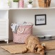 Bone Dry Pet Storage Collection Cotton Grid Paws Nautical Blue, Small Round Bone Dry Pet Storage Collection Cotton Grid Paws Nautical Blue, Small Round