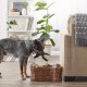 Bone Dry Pet Storage Collection Hyacinth Bone, Dark Brown, Large Bone Dry Pet Storage Collection Hyacinth Bone, Dark Brown, Large