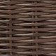 Bone Dry Pet Storage Collection Hyacinth Bone, Natural, Medium