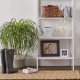 Bone Dry Pet Storage Collection Hyacinth Bone, Natural, Medium