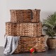Bone Dry Pet Storage Collection Hyacinth Bone, Natural, Medium
