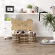 Bone Dry Pet Storage Collection Hyacinth Bone, Natural, Medium
