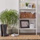 Bone Dry Pet Storage Collection Hyacinth Bone, Natural, Medium