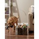 Bone Dry Pet Storage Collection Hyacinth Bone Toy Basket, Water Hyacinth, White Wash, Large Bone Dry Pet Storage Collection Hyacinth Bone Toy Basket, Water Hyacinth, White Wash, Large