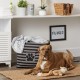 Bone Dry Pet Storage Collection Large Rectangular Pink Paw Print Bin Bone Dry Pet Storage Collection Large Rectangular Pink Paw Print Bin