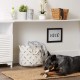 Bone Dry Pet Storage Collection Paw and Bone Print, Medium, Rectangular, 16 x 10 x 12-inch, Grey Bone Dry Pet Storage Collection Paw and Bone Print, Medium, Rectangular, 16 x 10 x 12-inch, Grey